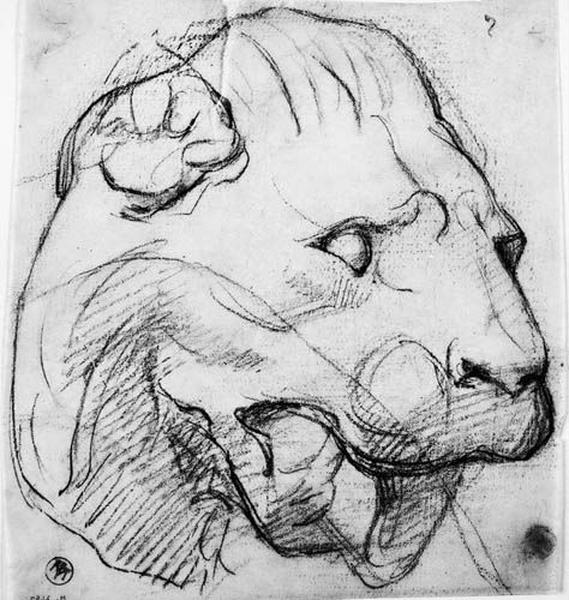 Tête de panthère ; Au verso : le même motif repris en blanc par transparence, Jean-Auguste-Dominique Ingres, 1841-1867
