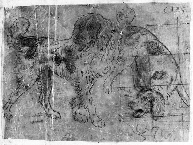 Deux Chiens épagneuls_0
