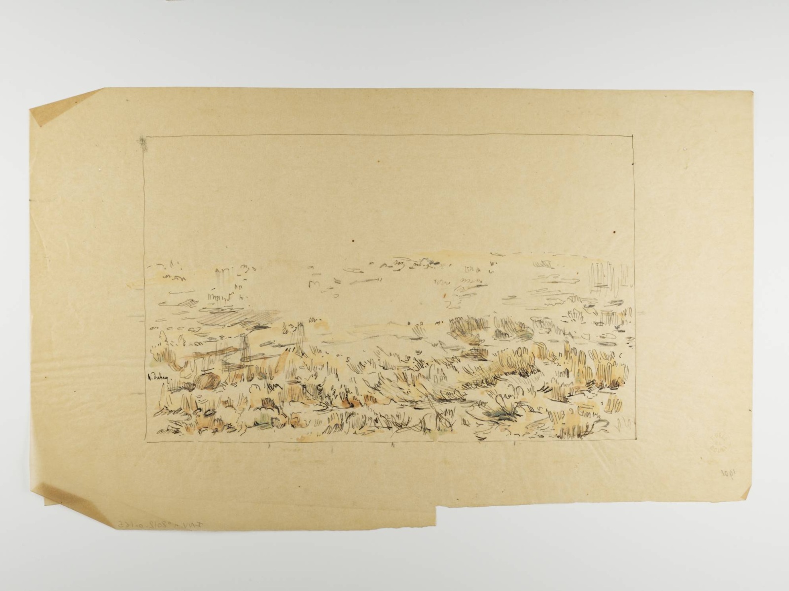 Paysage côtier, Henri Duhem, 1901