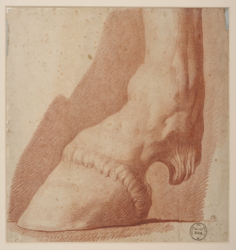 Patte de cheval, David Jacques-Louis, 18e siècle