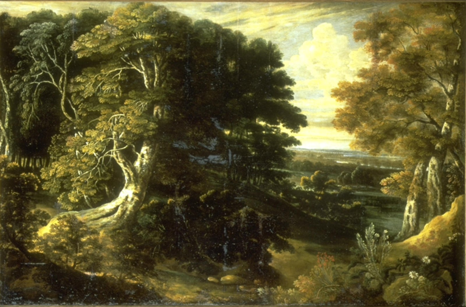 Paysage, Jacques d' Arthois, 17e siècle