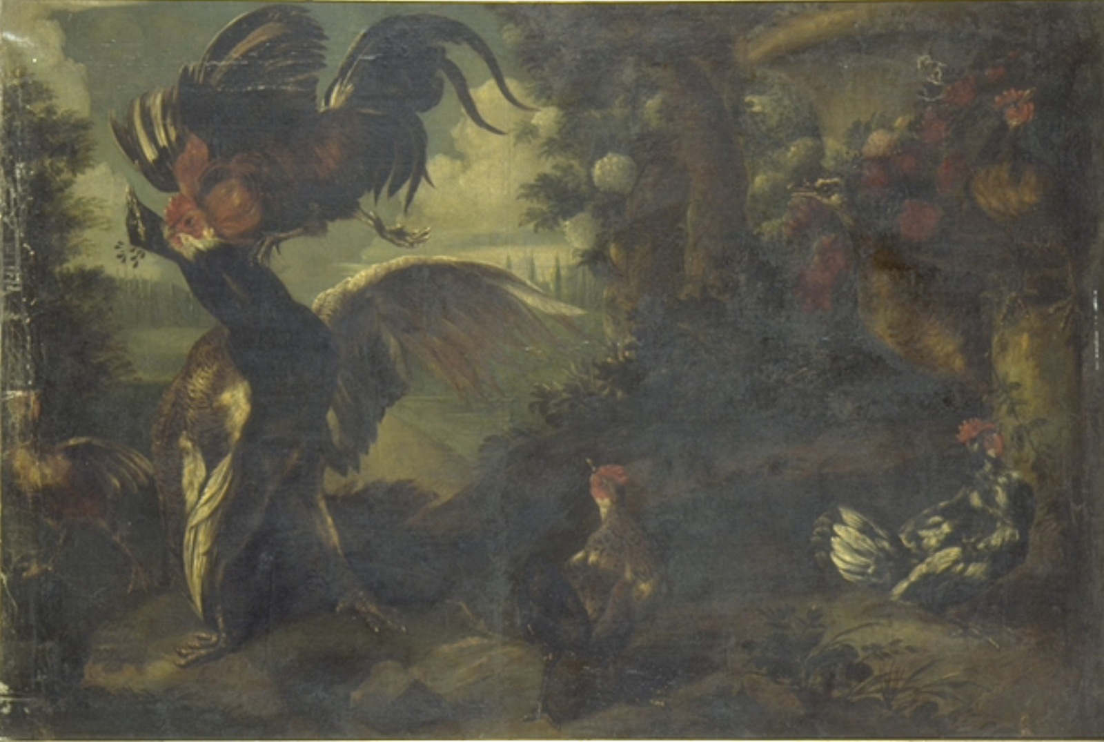 Un Paon assailli par un coq, Melchior de Hondecoeter, 17e siècle