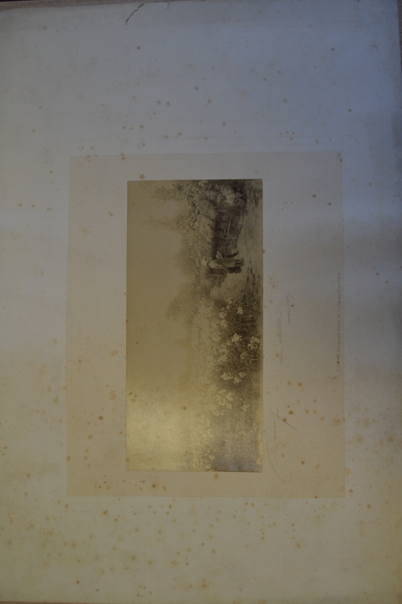 Les Abeilles, Adrien Louis Demont, 4e quart 19e siècle