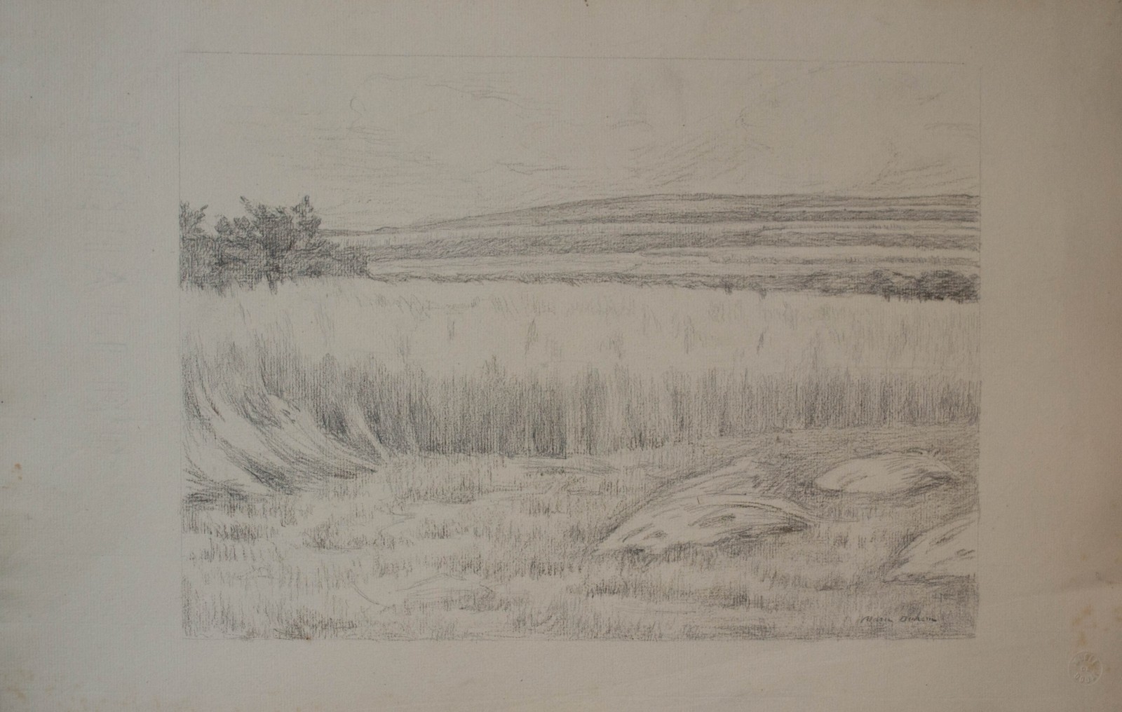 Vue d'un champs de blé, Marie Duhem