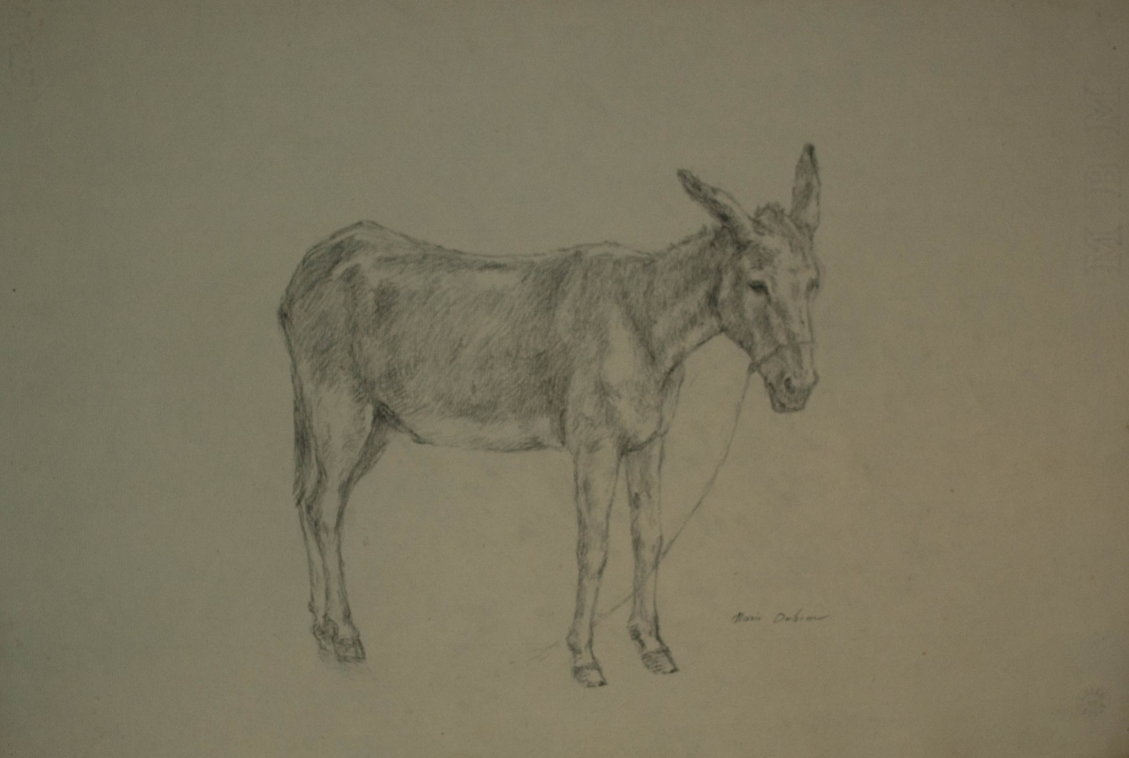 Ane, Marie Duhem