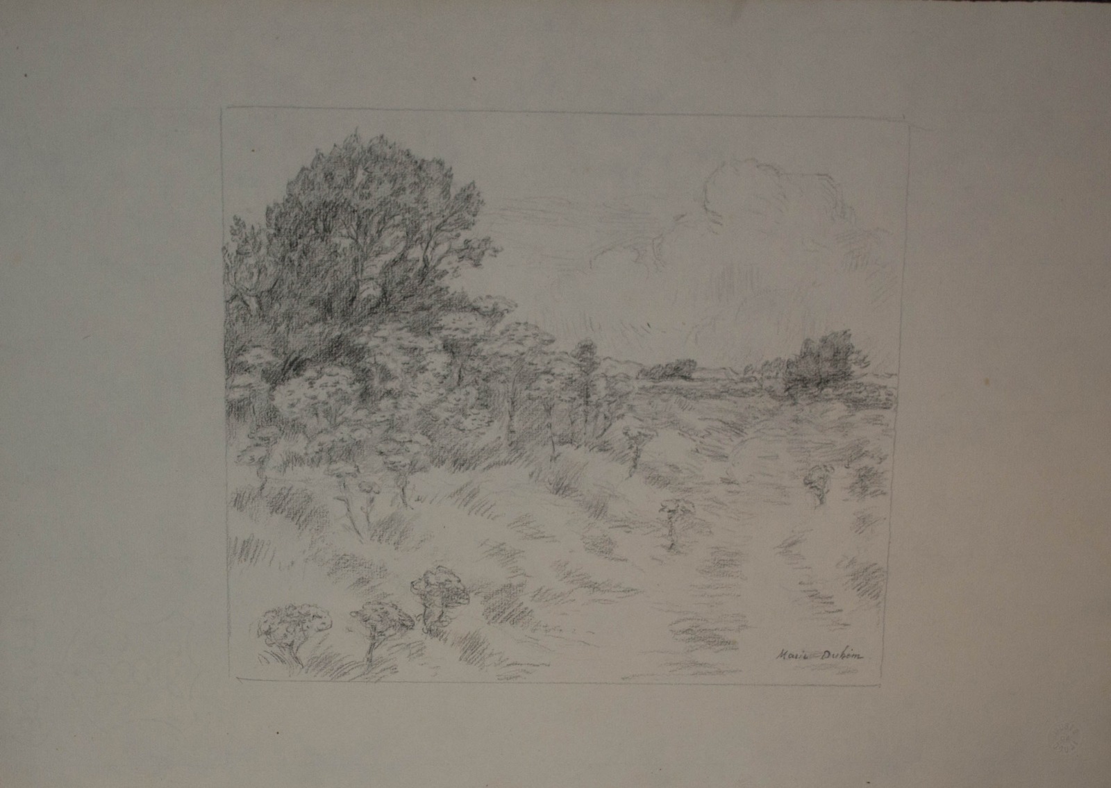 Paysage boisé, Marie Duhem