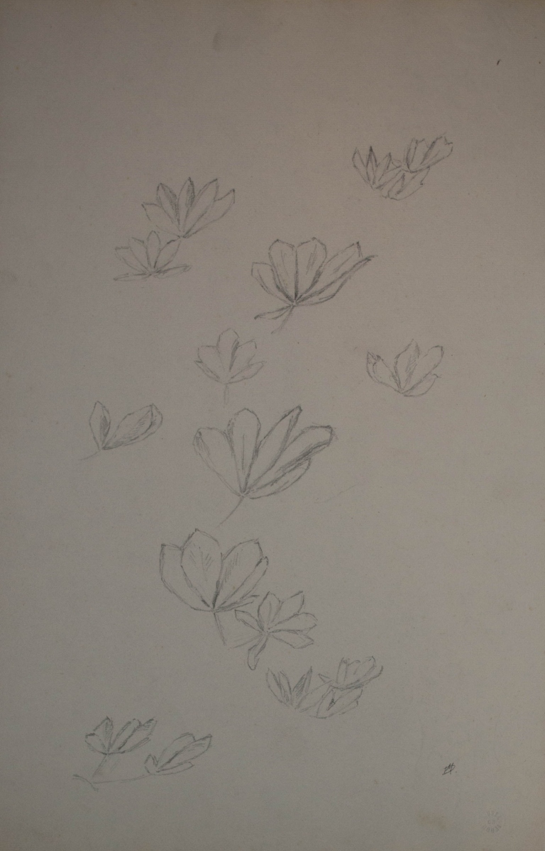 Croquis de feuilles, Marie Duhem