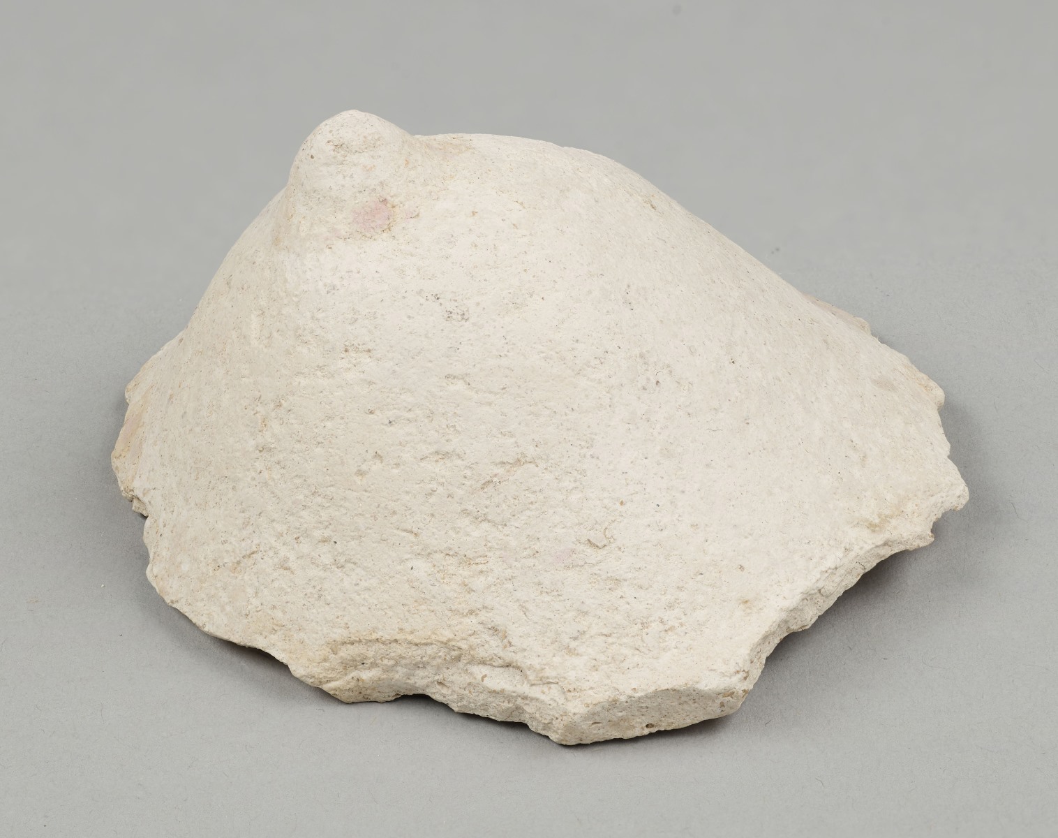 Fragment de masque-plastron de femme (Dénomination) ; Sein de jeune fille (Titre)_0