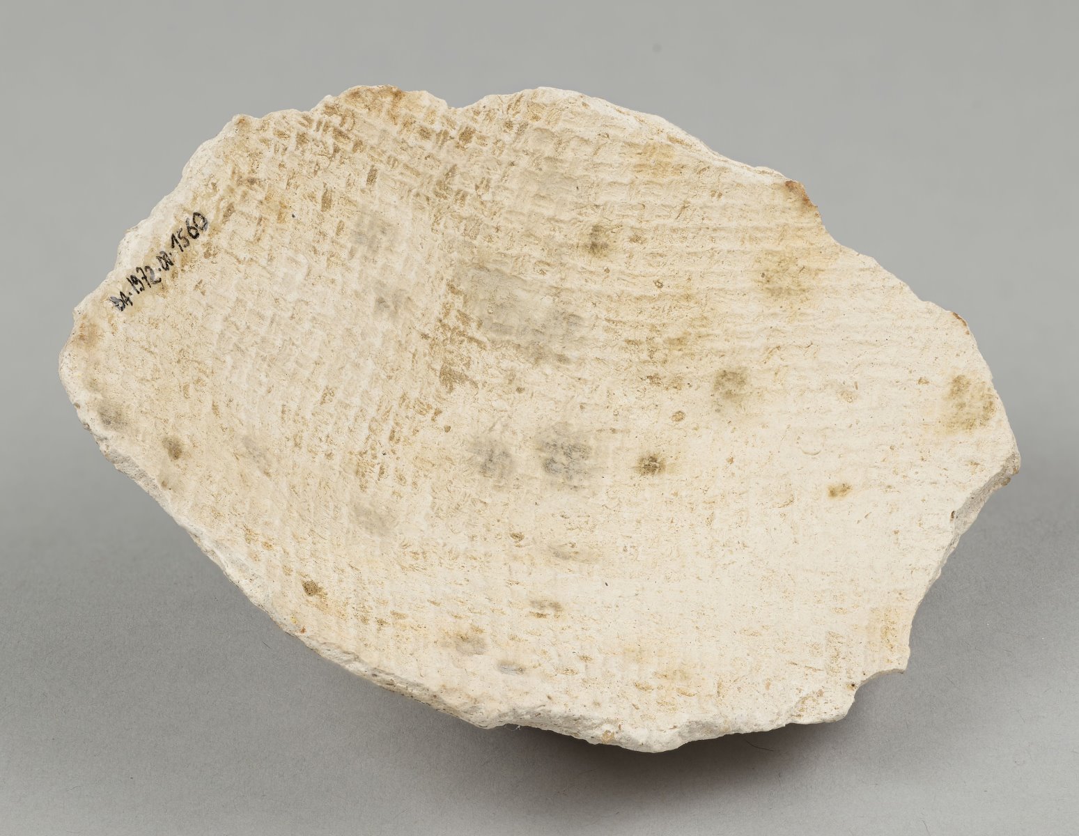 Fragment de masque-plastron de femme (Dénomination) ; Sein de jeune fille (Titre)_1