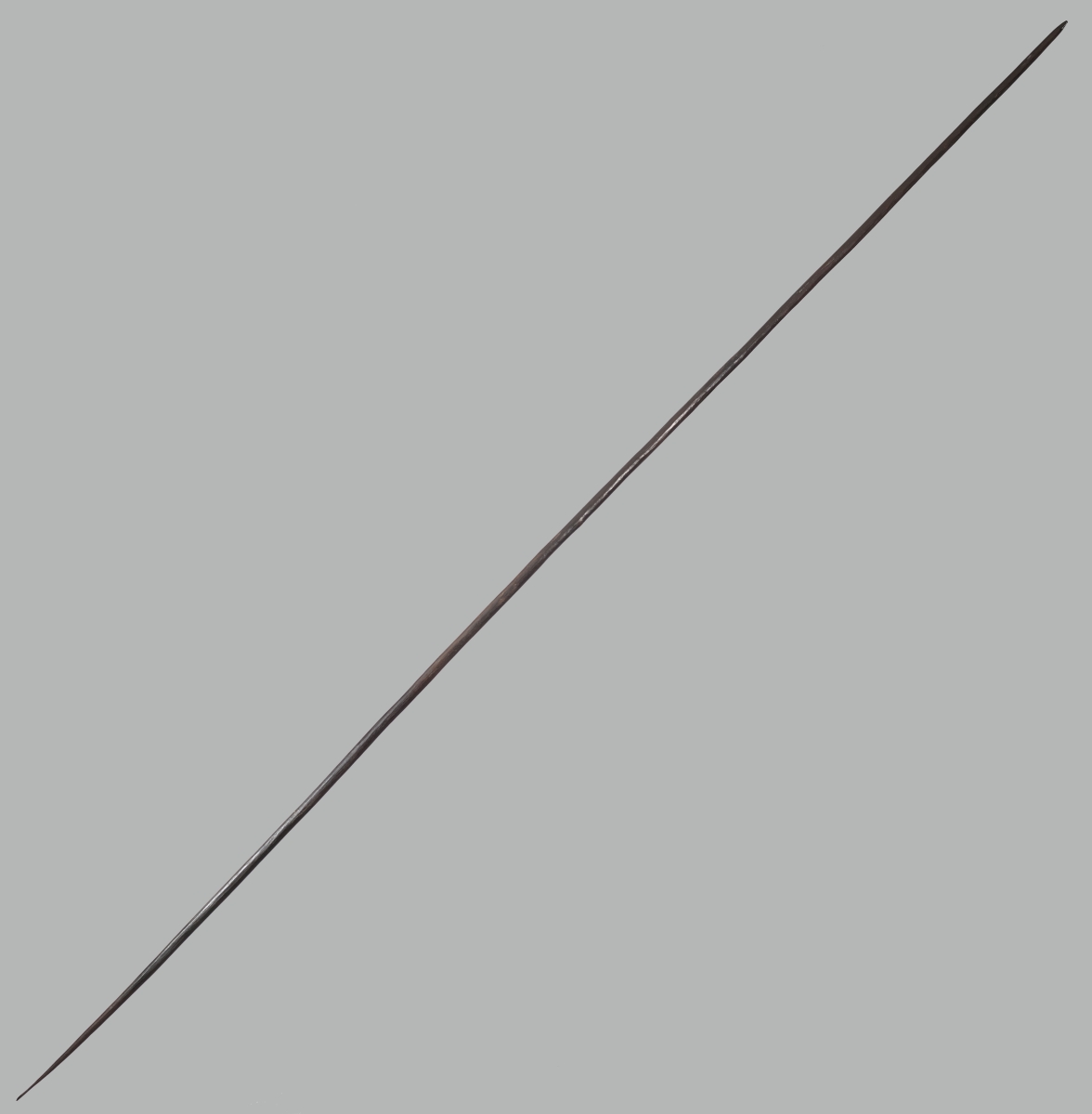 Sagaie, lance, flèche_0