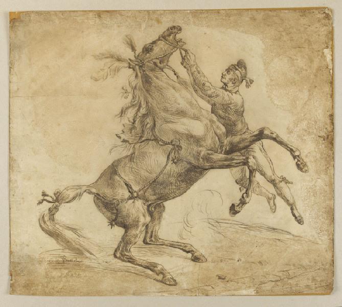 Cheval tenu à la bride, se cabrant, Antoine Charles Horace Vernet, 4e quart 18e siècle, 1ère moitié 19e siècle
