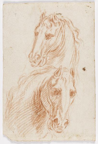 Deux études de tête de cheval, Vuez, Arnould de