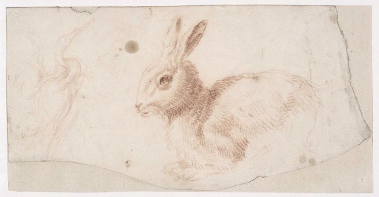 Etude de trois-quarts d'un lapin de profil à gauche et esquisse d'oiseau (grue ?), Vuez, Arnould de