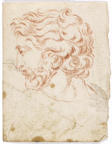 Tête d'homme barbu de profil à gauche (recto) ; Etude de feuillages (verso), Vuez, Arnould de