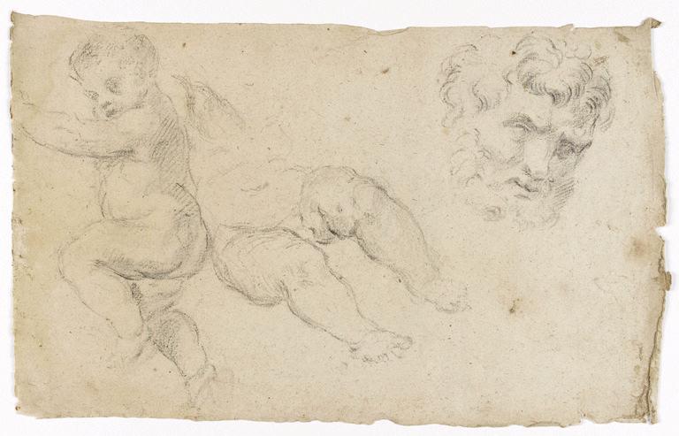 Tête d'homme barbu, enfant nu de profil à gauche, buste et jambes d'enfant, Vuez, Arnould de