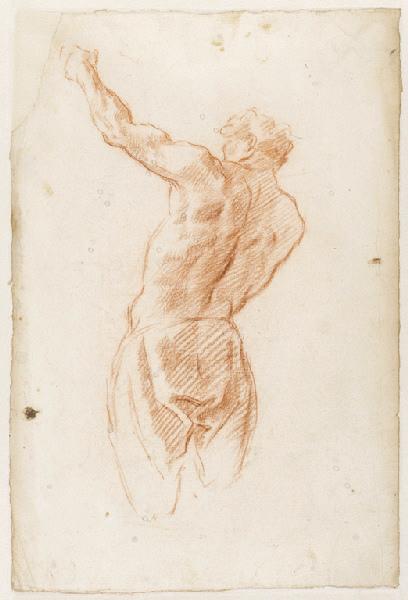 Figure d'homme vue de dos, le bras gauche levé, coupé aux genoux (recto) ; Animal du zodiaque avec repères numérotés (verso), Vuez, Arnould de