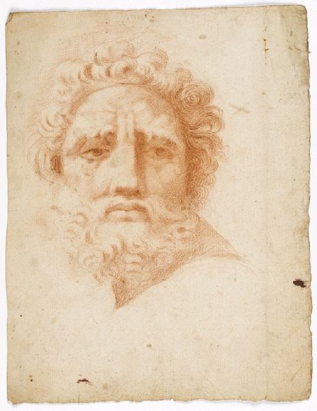 Tête à chevelure et barbe bouclée, vue de face, Vuez, Arnould de