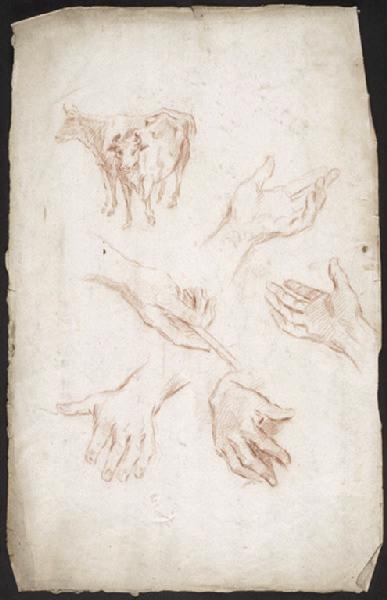 Etudes de cinq mains et deux vaches (recto) ; Putto courant à gauche (dans l'autre sens) (verso), Vuez, Arnould de