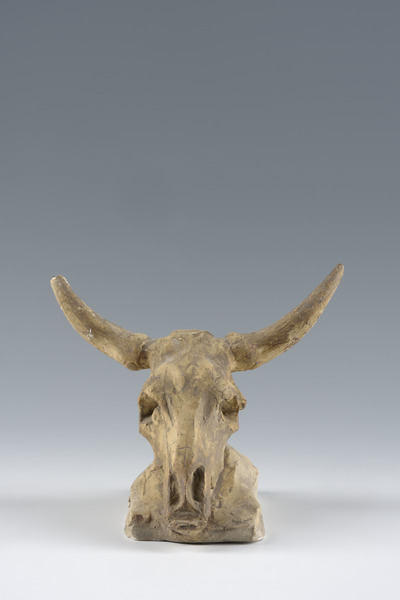 Crâne de boeuf, Henri Bouchard, s.d.