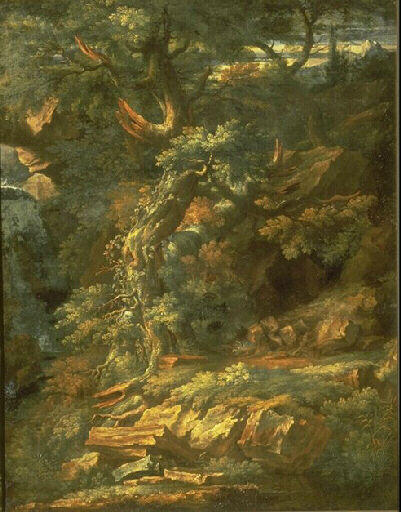 Intérieur de forêt_0