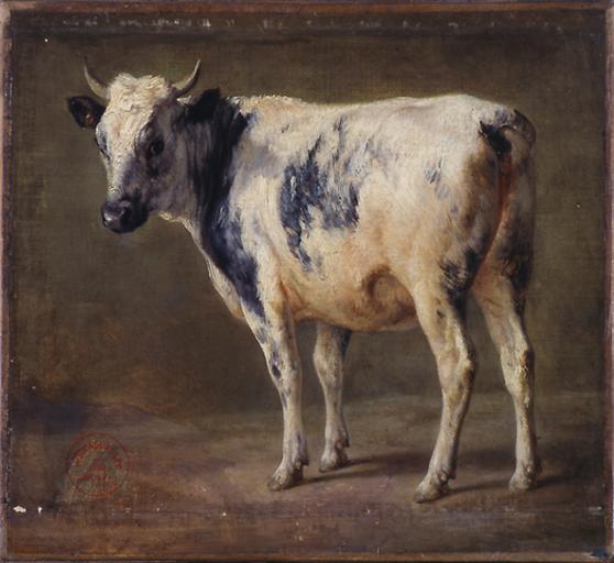 VACHE BRETONNE_0