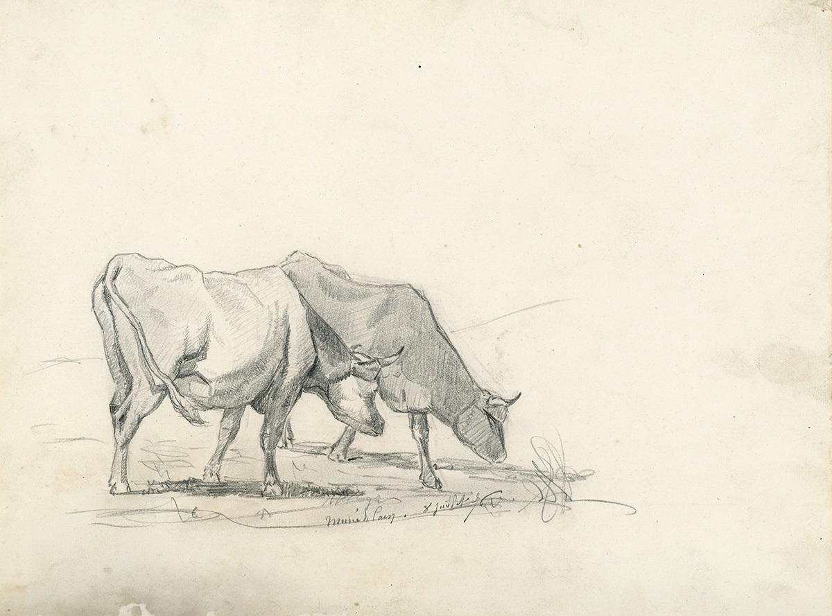 Deux boeufs, Jules Rame, 1876