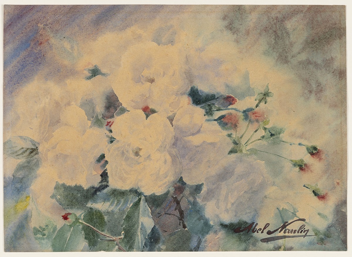Roses blanches_0