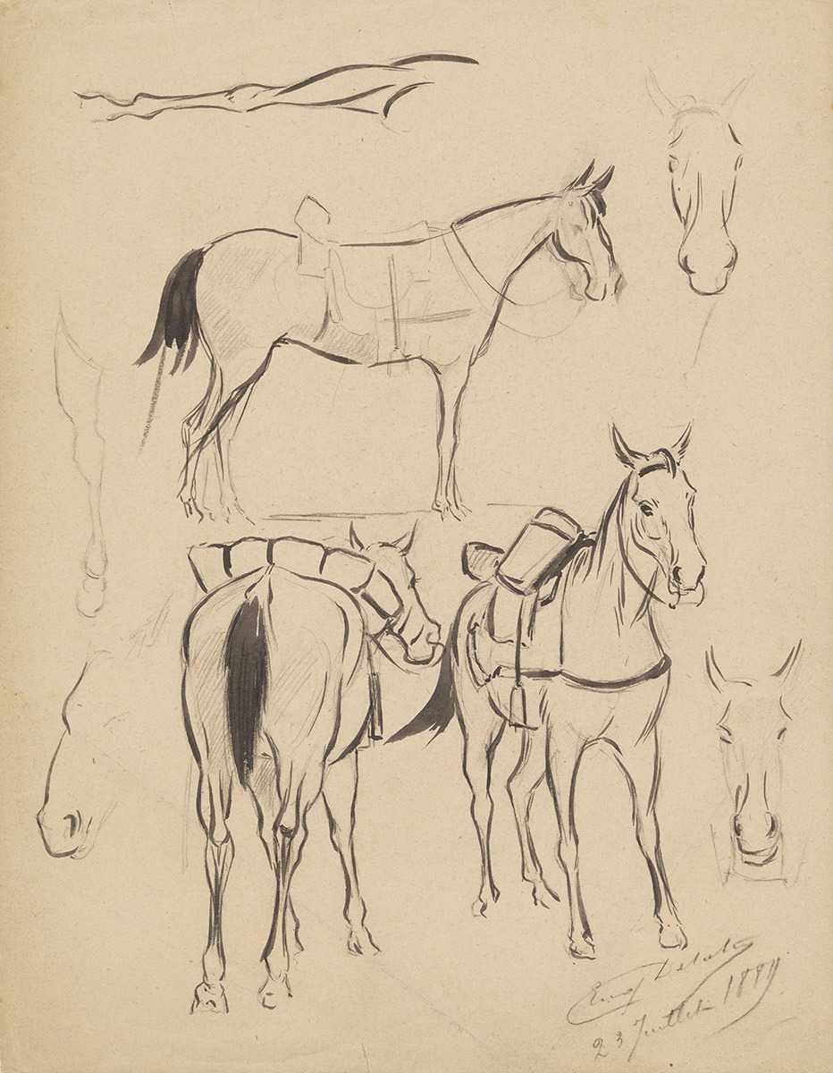 Croquis de chevaux_0