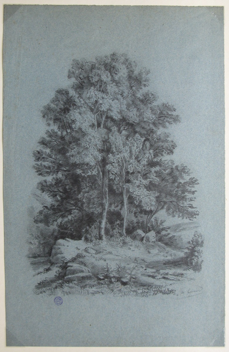 Arbres, Jacques Théodore Legrand, 4e quart 19e siècle