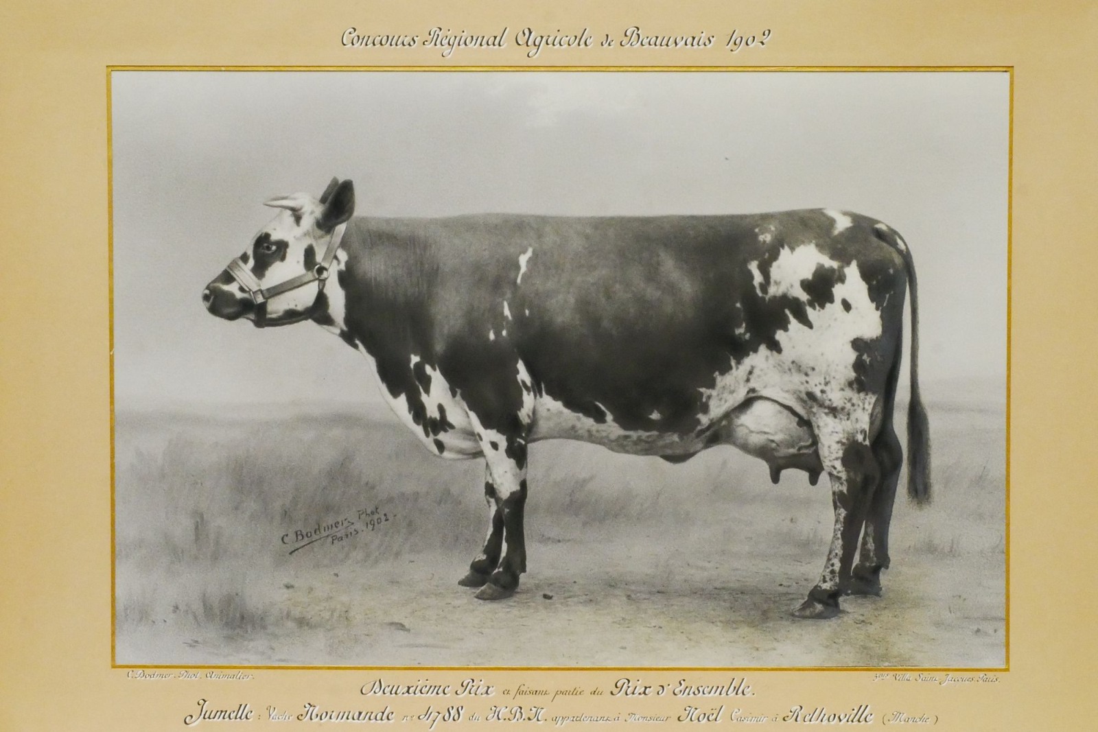 jumelle;photographie — Charles Bodmer