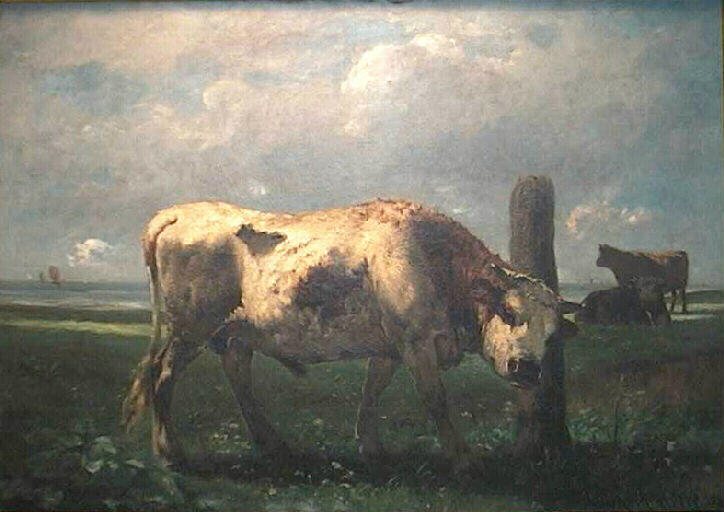 Jeune taureau dans la vallée d'Auge_0