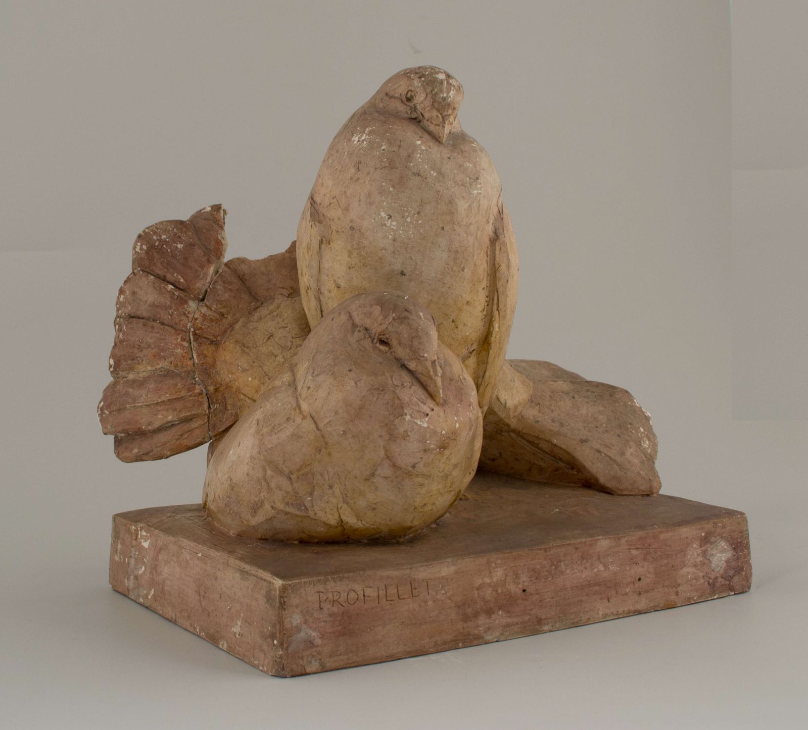 Couple de pigeons paon_0