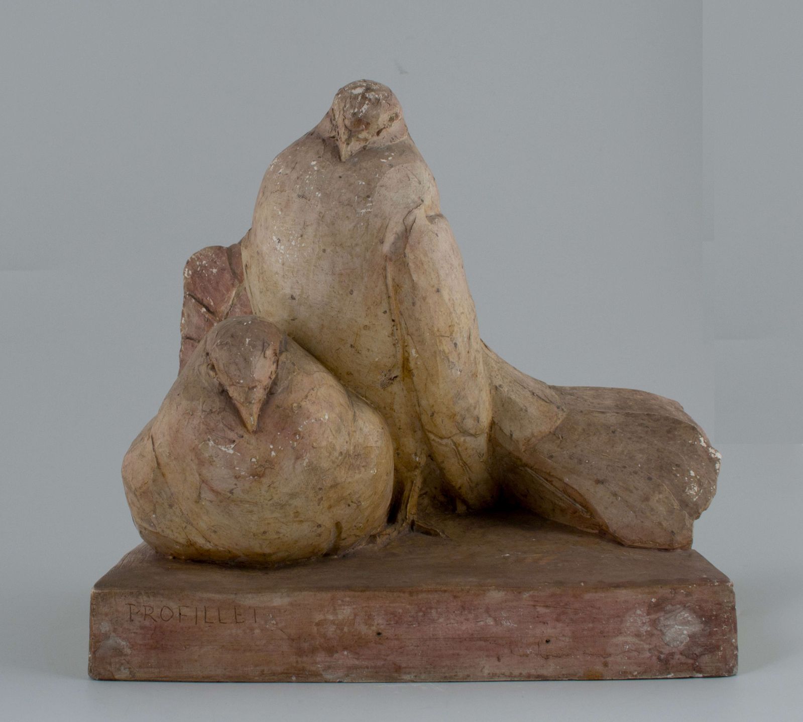 Couple de pigeons paon_1