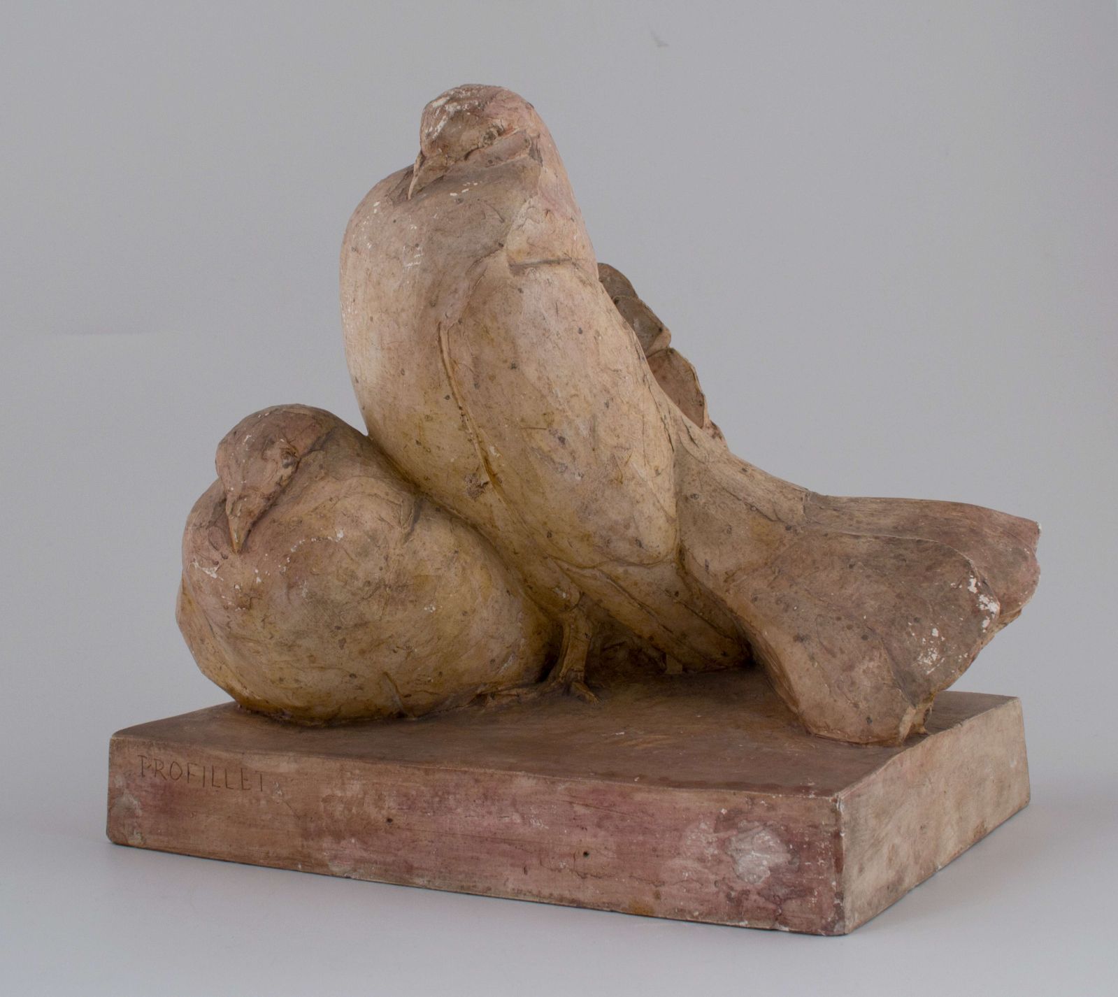 Couple de pigeons paon_2