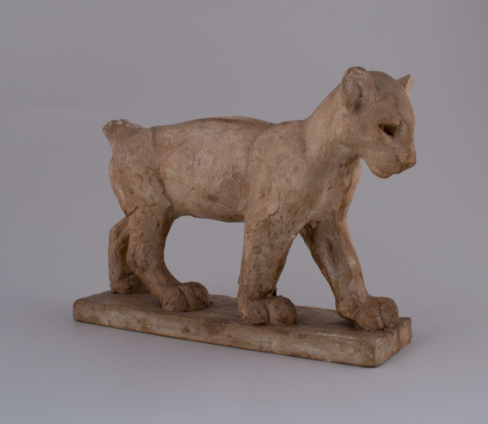 Lionceau_0