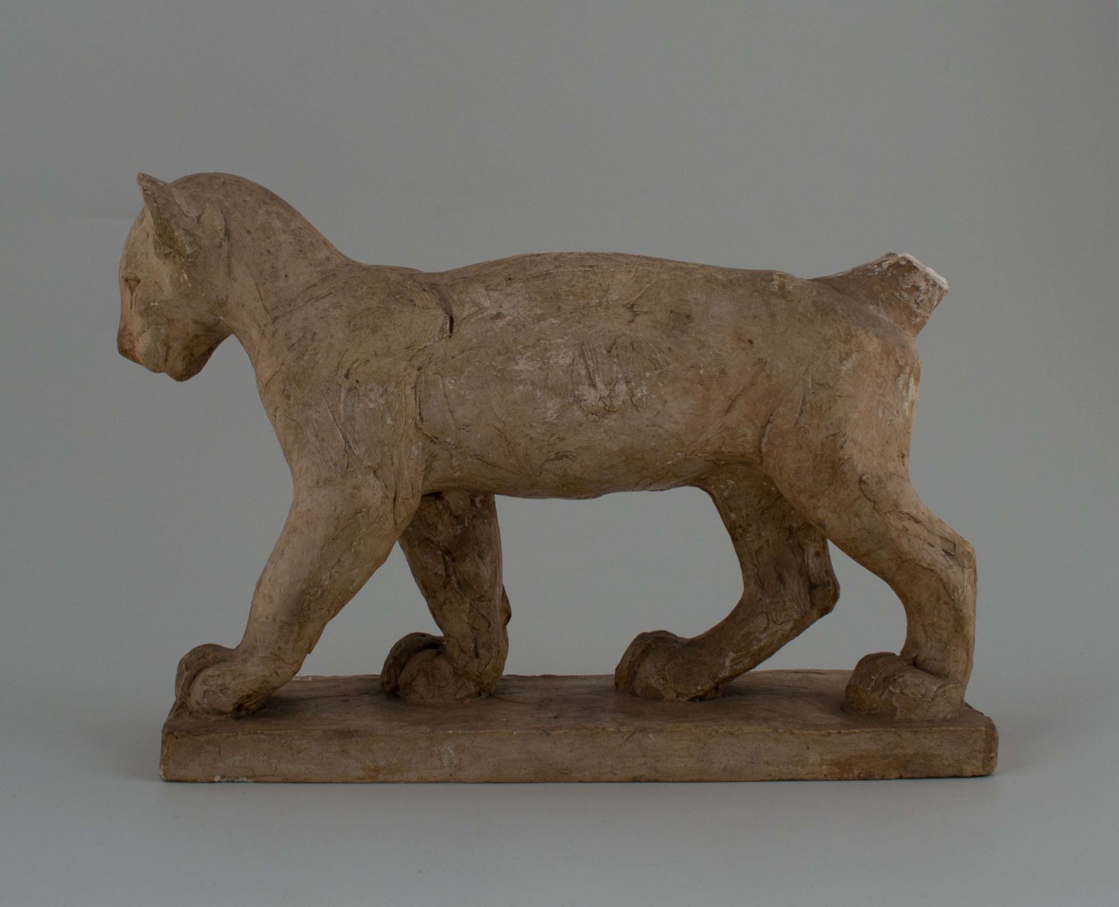 Lionceau_1