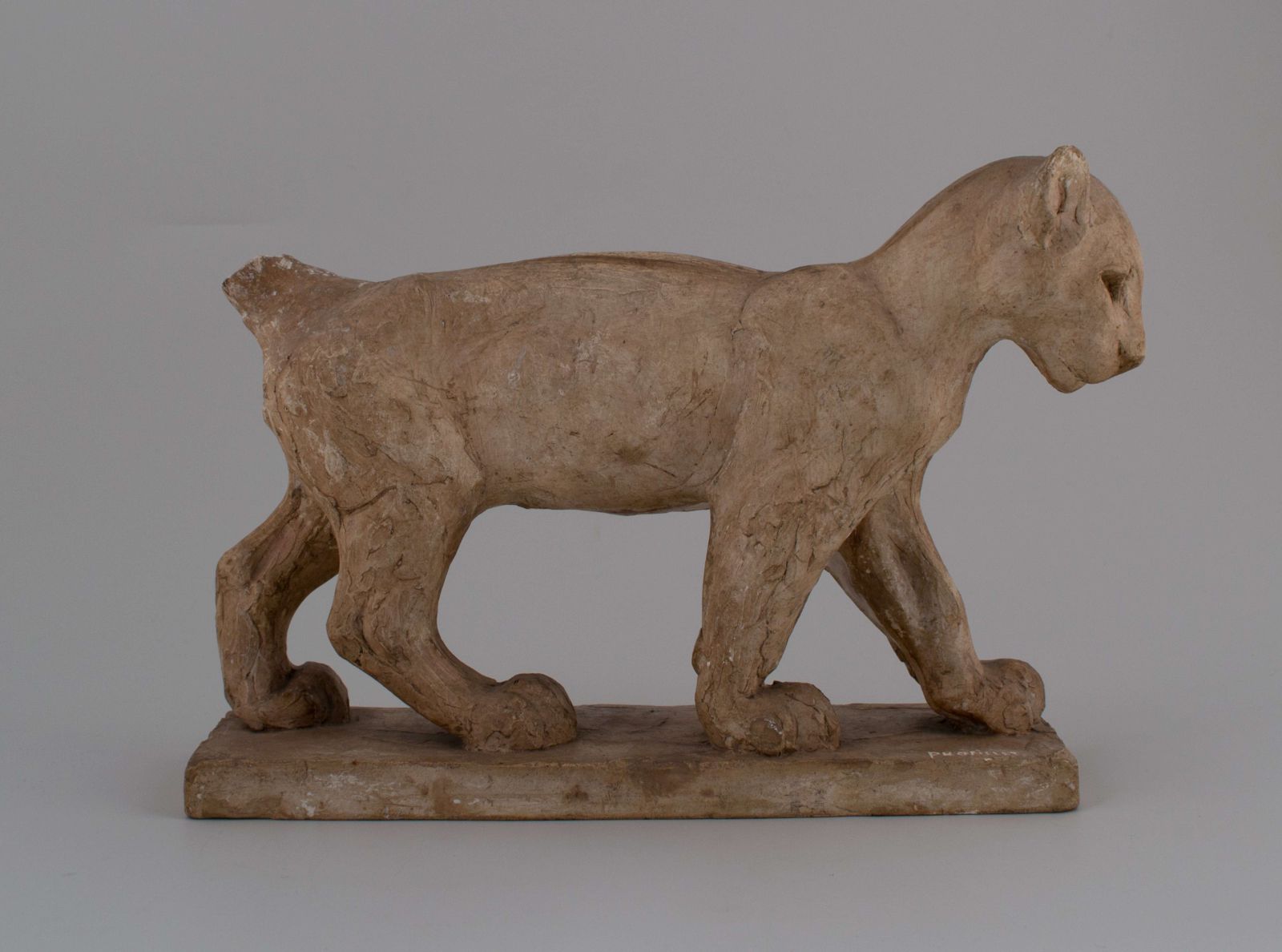 Lionceau_2
