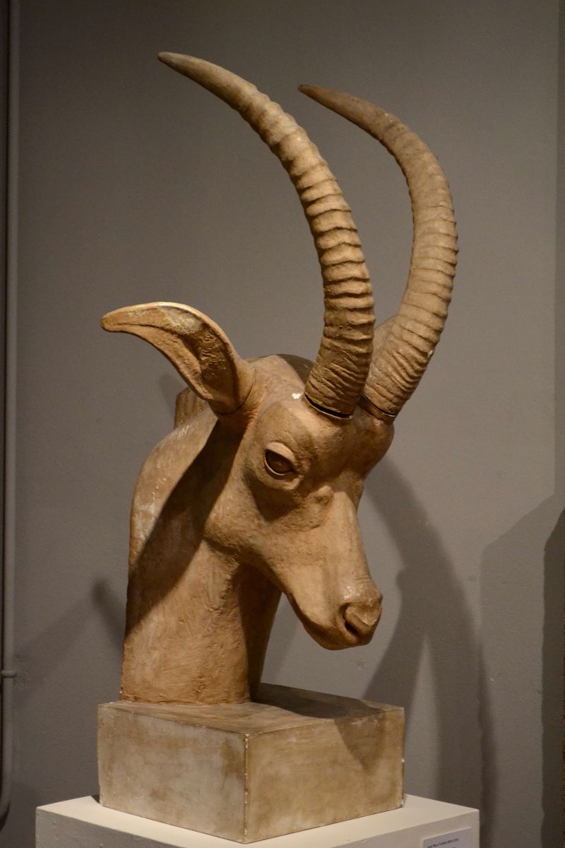 Tête d'antilope chevaline_0