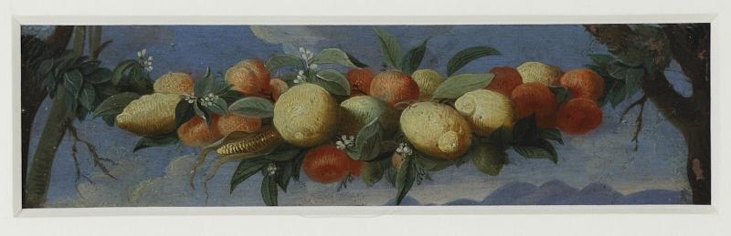 Nature morte aux citrons, Jan I Van Kessel, 2e moitié 17e siècle