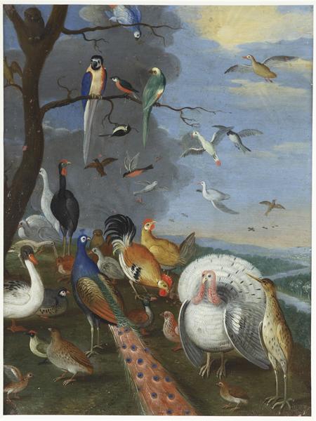 Assemblée d'oiseaux dans un paysage, Jan I Van Kessel, 2e moitié 17e siècle