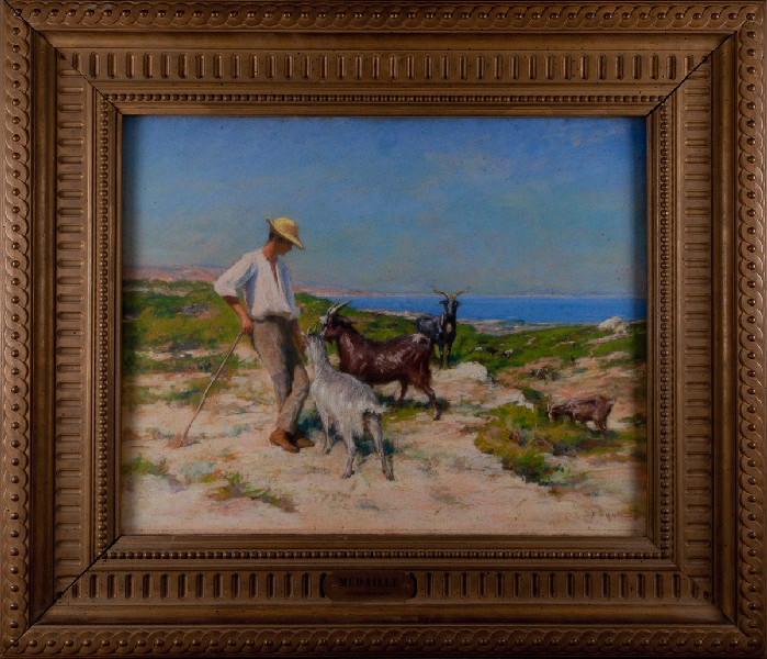 Chèvres au pâturage_0