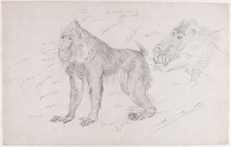 Deux babouins, Adolphe Lalyre, 1914