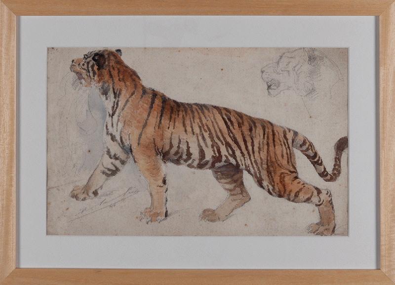 Tigres, Adolphe Lalyre, 4e quart 19e siècle, 1ère moitié 20e siècle