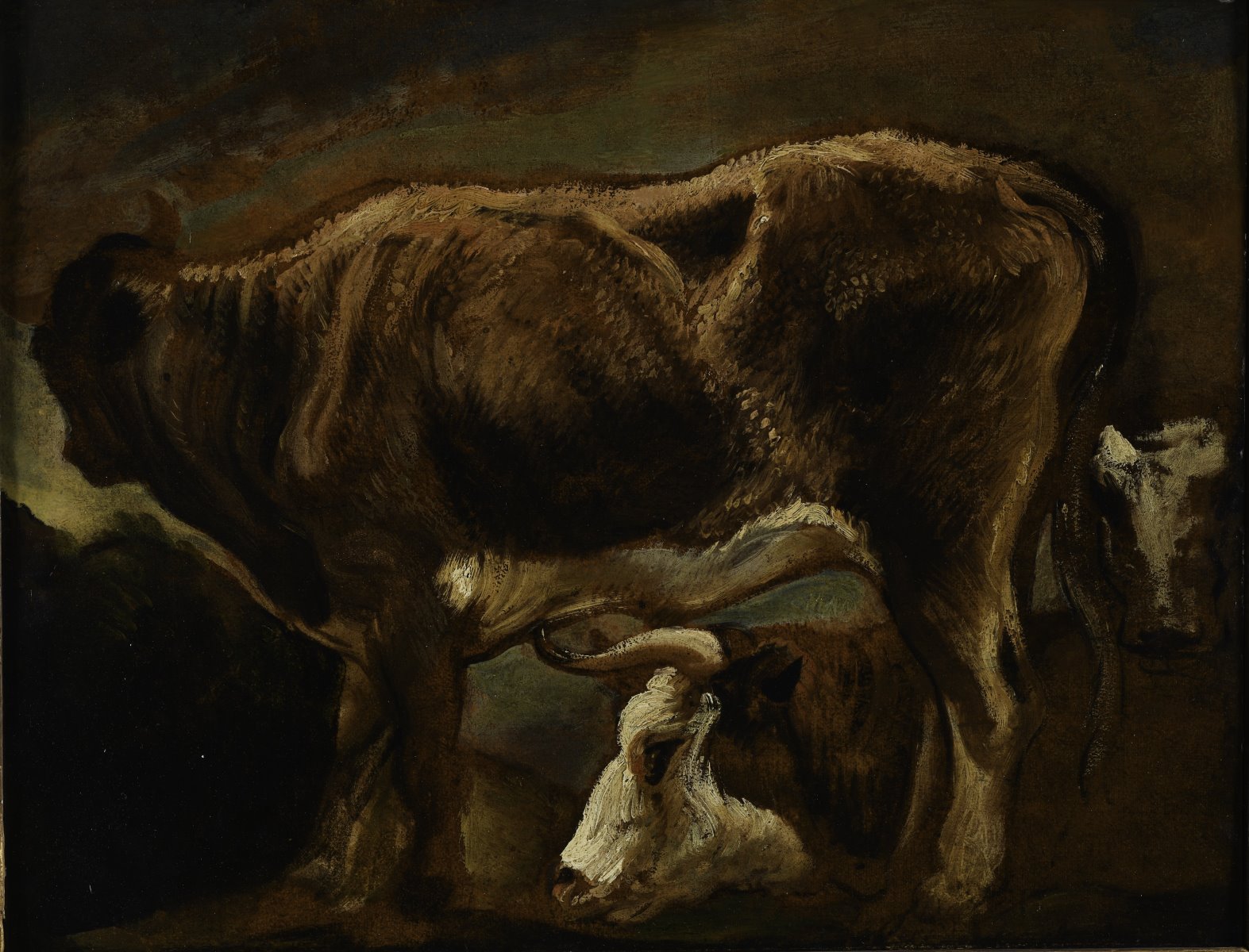 Etude de vaches, Jacob Jordaens, 17e siècle