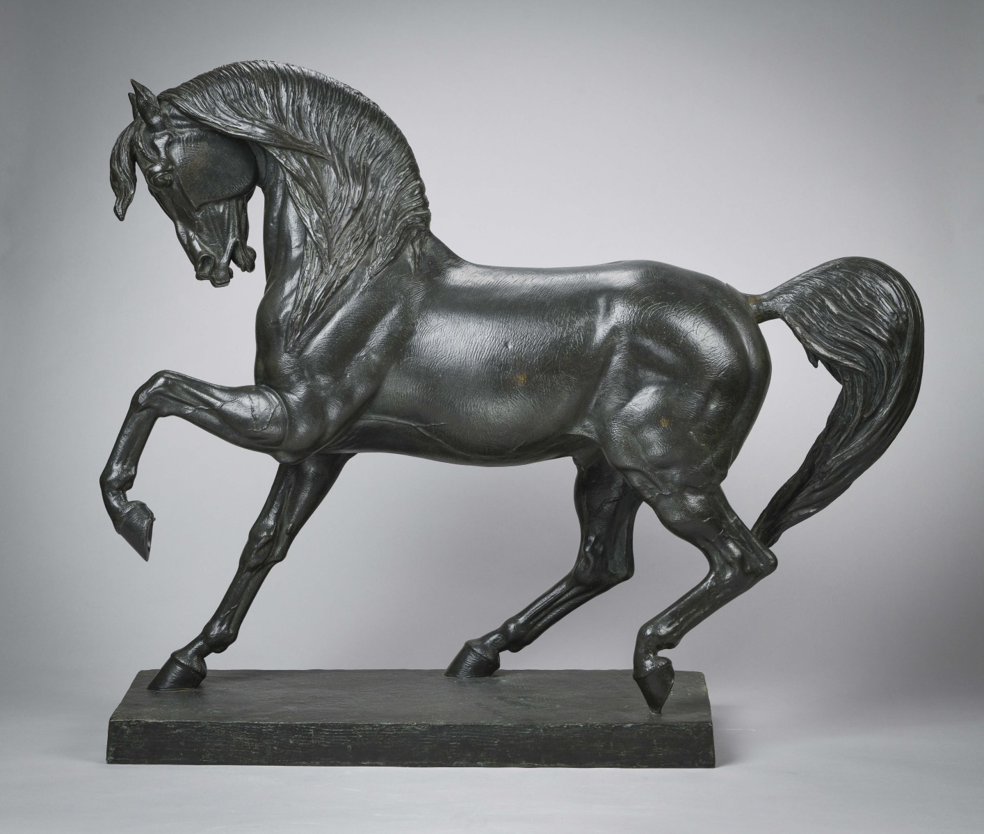 Etude de cheval, Armand Le Veel, 1869