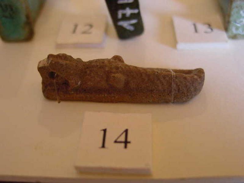 Crocodile_0
