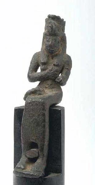 Isis lactans_0