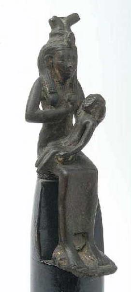 Isis lactans_0