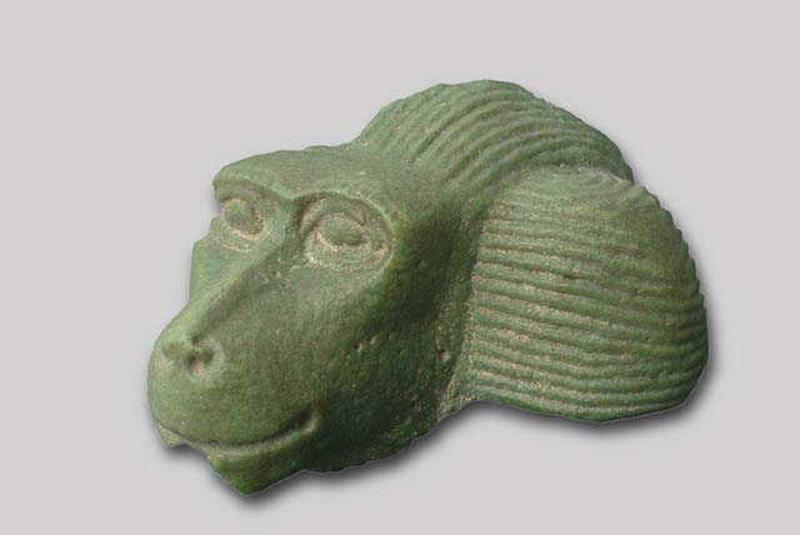 Tête de babouin_0