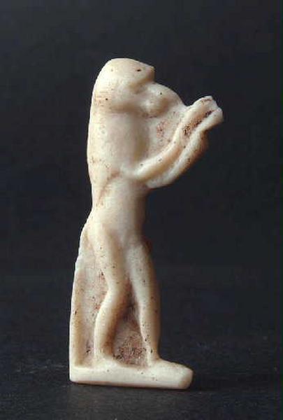 Babouin en adorateur du soleil levant_0